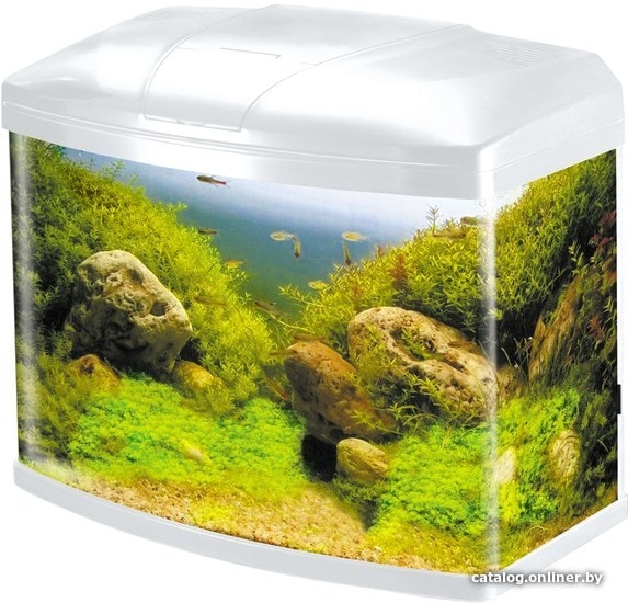 

Аквариум Silver Berg Golden Fish 50 л (белый)