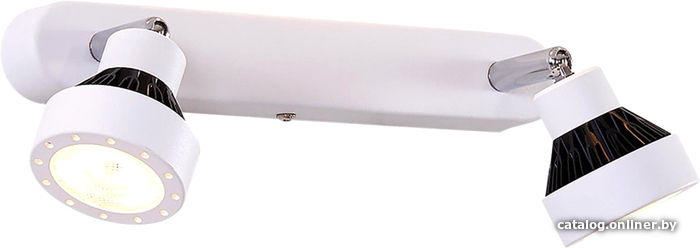 

Спот Citilux Данди CL557521
