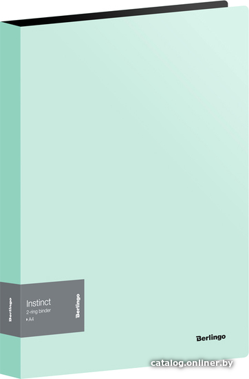 

Папка для бумаг Berlingo Instinct ABp_23520 (мятный)