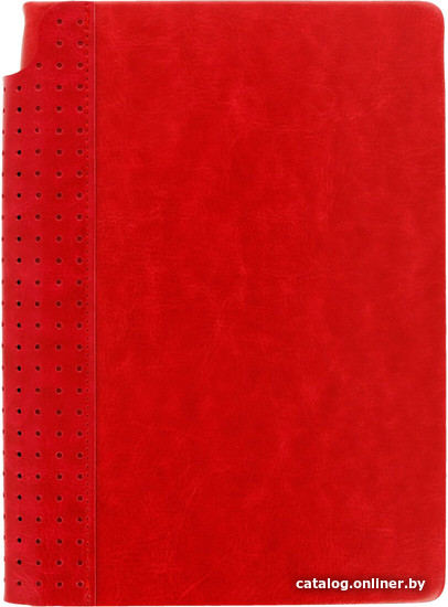 

Ежедневник Escalada Сариф 63984 (160 л, крсный)