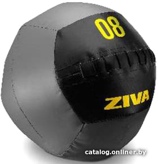 

Мяч Ziva Wall Ball ZVO-FTWB-18-01 (5 шт)