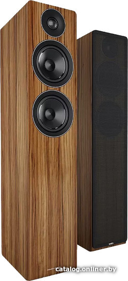 

Напольная акустика Acoustic Energy AE109 (коричневый)