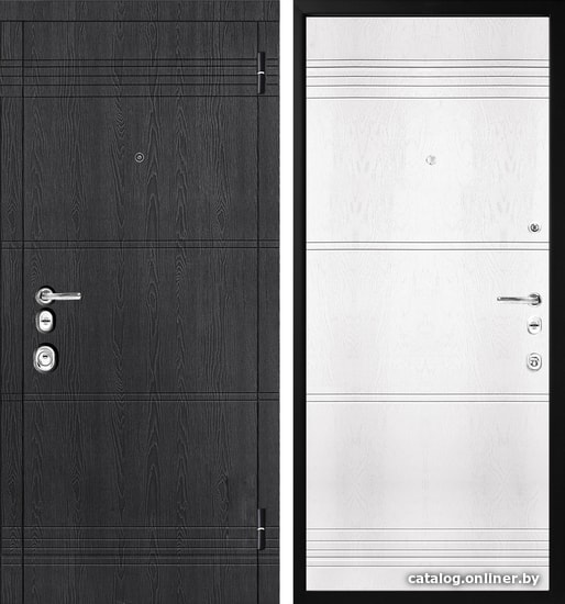 

Металлическая дверь Металюкс Статус М770