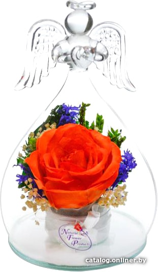 

Цветы, букеты Natural Flower Products Композиция из оранжевых розы VhZYv
