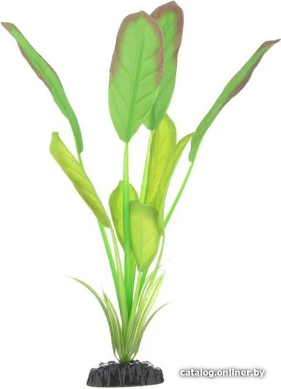 

Искусственное растение Barbus Эхинодорус Блейхери Plant 037/10 (зеленый)