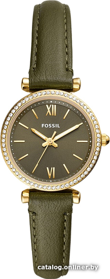 

Наручные часы Fossil Carlie ES5113