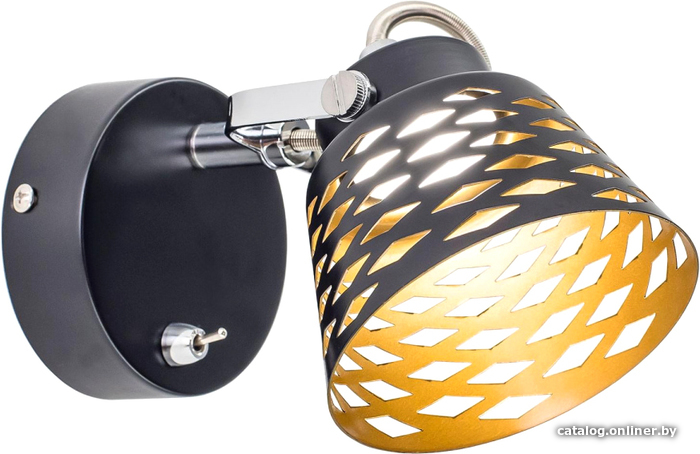 

Спот Citilux Орегон CL508512