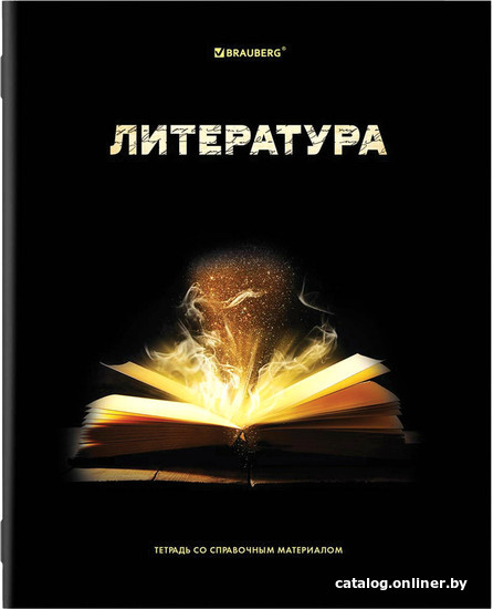 

Тетрадь предметная BRAUBERG Shade. Литература 404269 (48 л, линейка)
