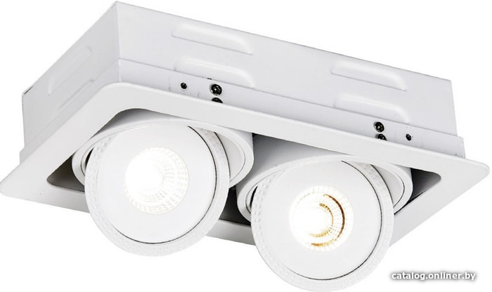 

Точечный светильник Arte Lamp Studio A3007PL-2WH