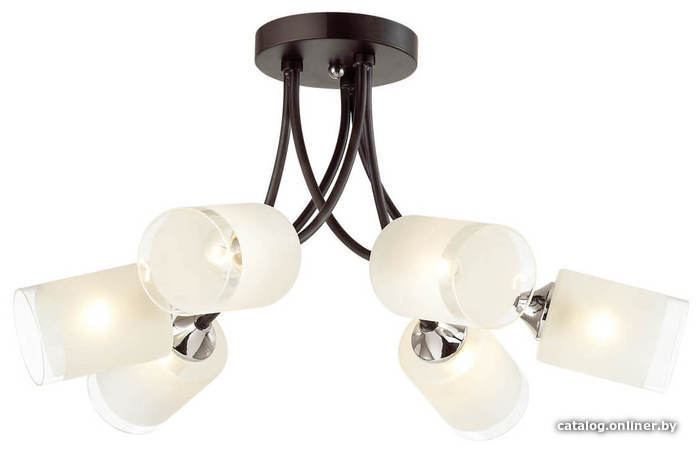 

Люстра средней высоты Lumion Paula 4533/6C
