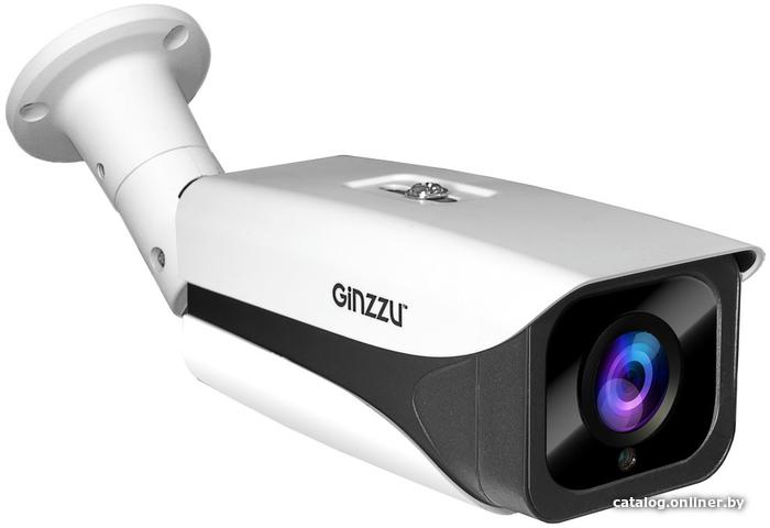 

IP-камера Ginzzu HIB-4V02A
