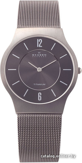 

Наручные часы Skagen 233LTTM