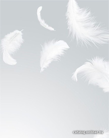 

Виниловые обои Citydecor Перышки 200x270
