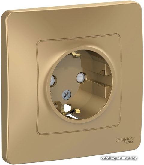 

Розетка Schneider Electric BLNRS001114