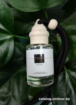 

Zolstar Dior Homme Sport