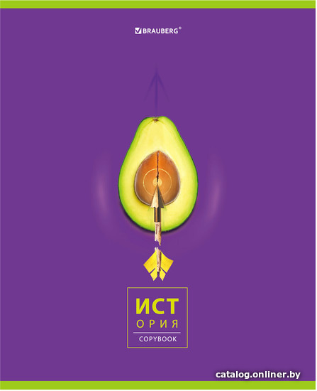 

Тетрадь предметная BRAUBERG Avocado. История 404280 (48 л, клетка)