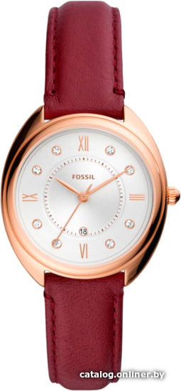 

Наручные часы Fossil Gabby ES5148
