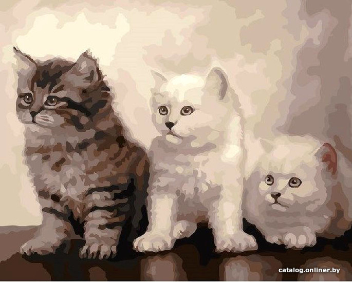 

Картина по номерам PaintBoy Три котенка GX21053