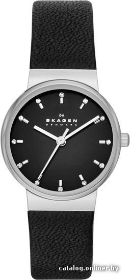 

Наручные часы Skagen SKW2193