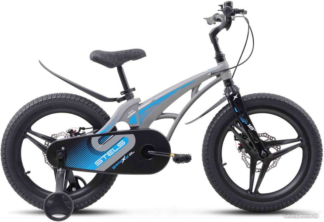 

Детский велосипед Stels Galaxy Pro 18 2024 (серый)