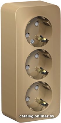 

Розетка Schneider Electric Blanca BLNRA011314