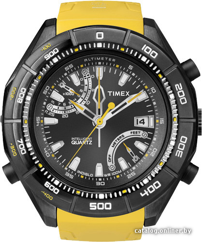 

Наручные часы Timex T2N730