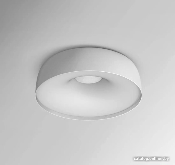 

Припотолочная люстра ImperiumLoft Brim01 184485-26