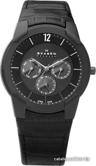 

Наручные часы Skagen 856XLBLB