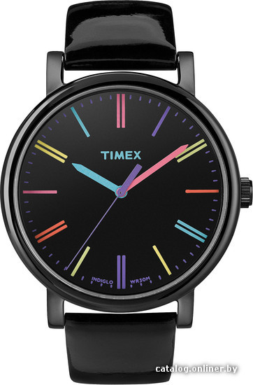 

Наручные часы Timex T2N790