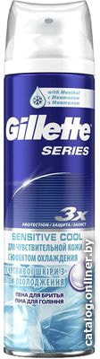 

Пена для бритья Gillette TGS Sensitive Skin для чувствительной кожи (250 мл)