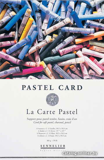 

Набор бумаги для рисования Sennelier Pastel Card N136754 (12л)