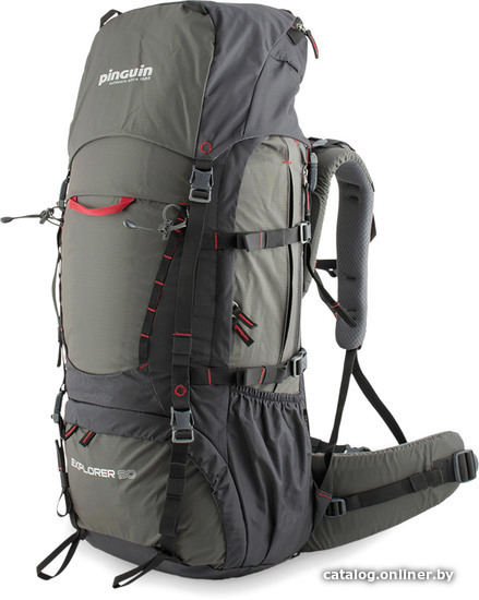 

Туристический рюкзак Pinguin Explorer 50 373097 (черный)