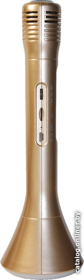 

Микрофон Palmexx K1