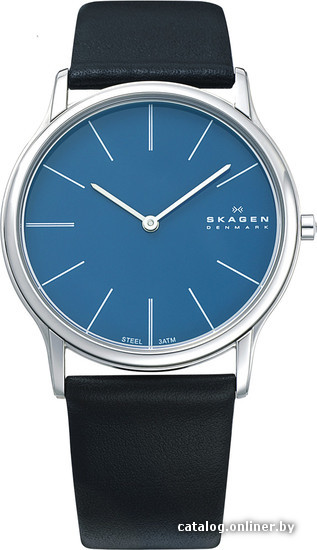 

Наручные часы Skagen 858XLSLN