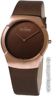 

Наручные часы Skagen 582XLRLM