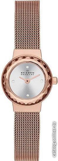 

Наручные часы Skagen SKW2187