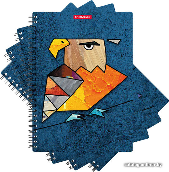 

Набор тетрадей Erich Krause Birds 80 л клетка 080255253-53152 (4 шт)