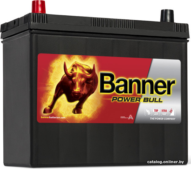 

Автомобильный аккумулятор Banner Power Bull P45 24 (45 А·ч)