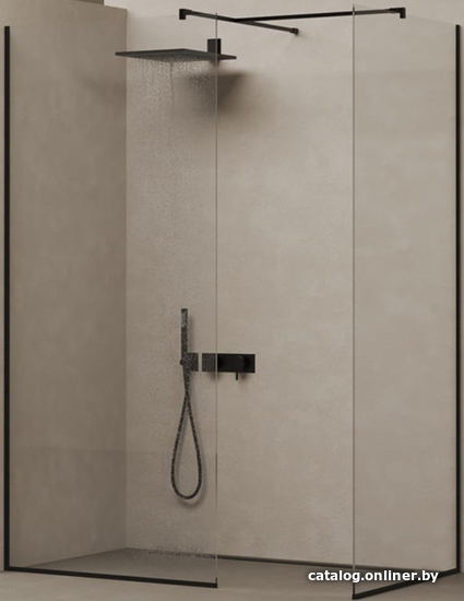 

Душевая стенка Salini Atrio 21102B 220x100