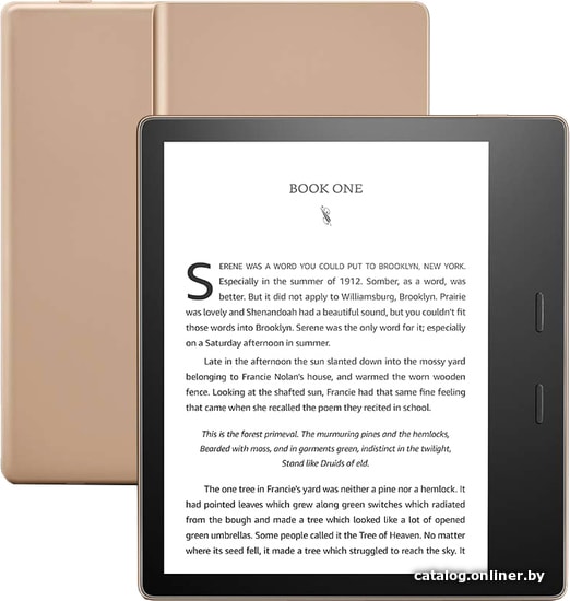 

Электронная книга Amazon Kindle Oasis 2019 32GB (золотистый)