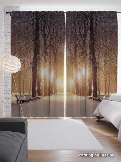 

Комплект штор JoyArty Яркая зимняя аллея 1.45x2.65 м p_21462_145x265 (2 шт)