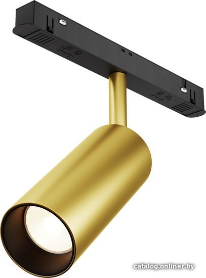 

Трековый светильник Maytoni Exility TR032-2-12W3K-S-MG