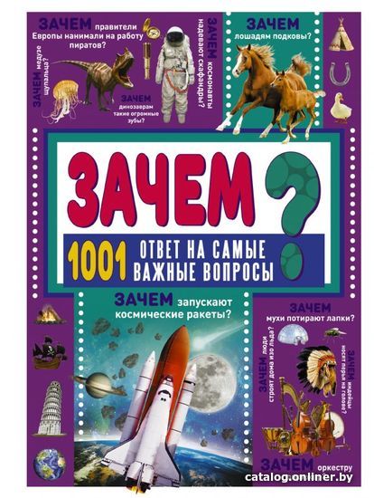 

АСТ. ЗАЧЕМ 1001 ответ на самые важные вопросы (Ермакович Дарья Ивановна)