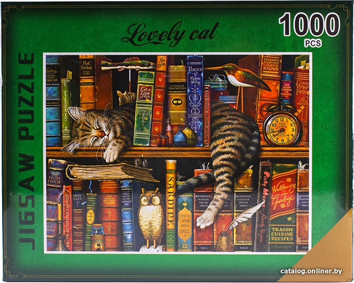 

Пазл Darvish Кот и книги DV-T-2568 (1000 эл)