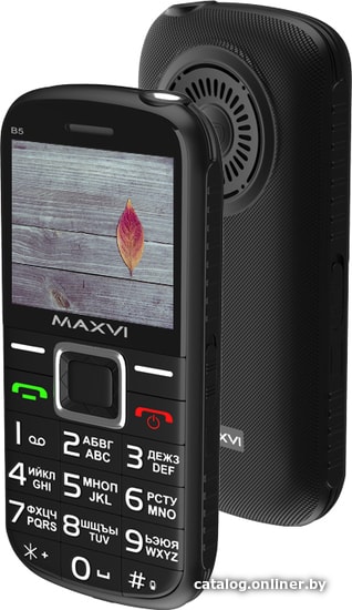 

Кнопочный телефон Maxvi B5 (черный)