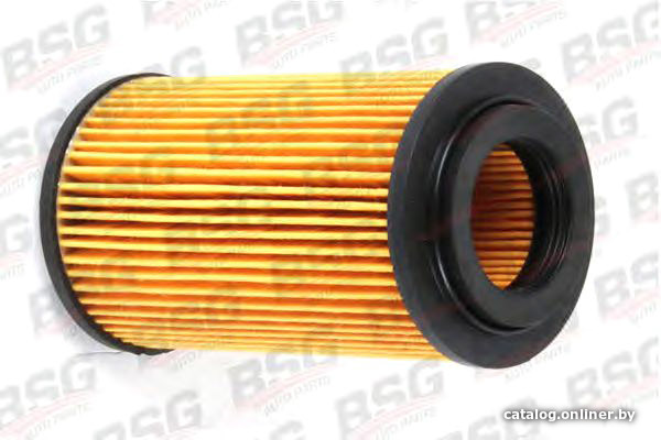 

BSG BSG60130002