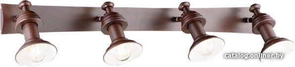 

Спот Sfera-sveta B86057/4W BR