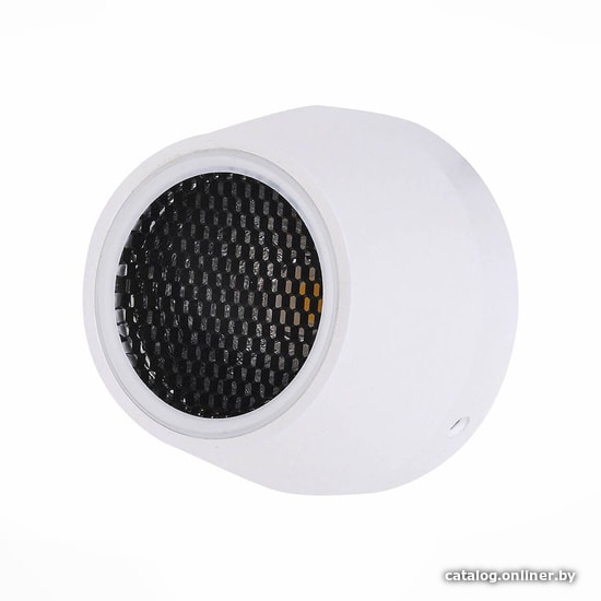 

Садовый светильник ST Luce Pedana SL097.555.01