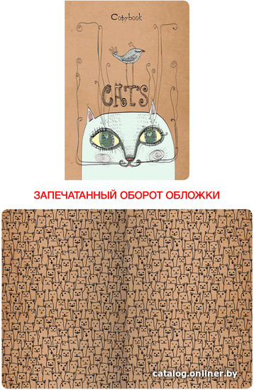 

Общая тетрадь Канц-Эксмо Друзья ТКК486889 (48 л)