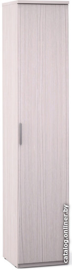

Шкаф распашной Шатура Flash/Rimini Flash F9A-01.CG 483707